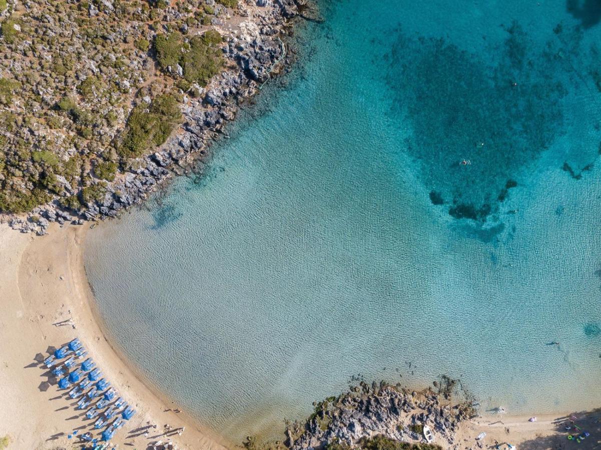Magnifique Villa Avec Piscine Au Bord De Mer Chorafakia Exteriör bild